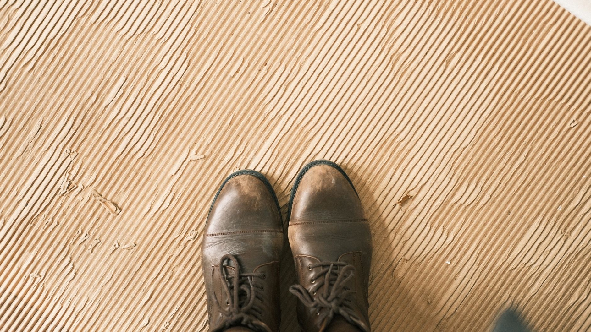 Guardé mis botas altas de pie en el armario todo el verano solo para no ocupar espacio: cuando las saqué en octubre, el pl...